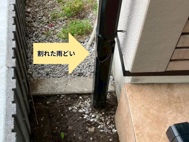 藤井