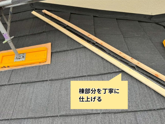 幸手　Tルーフ　屋根カバー