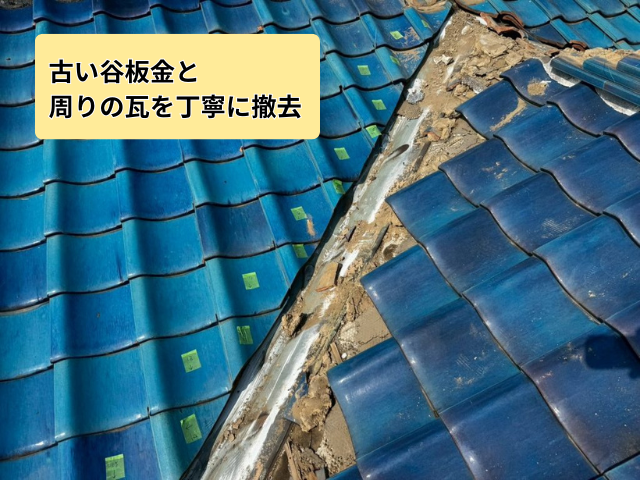 藤井