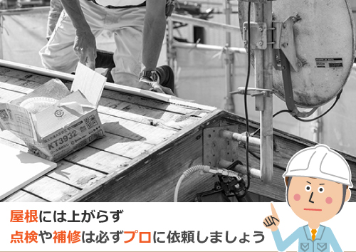 屋根には上がらず点検や補修は必ずプロに依頼しましょう