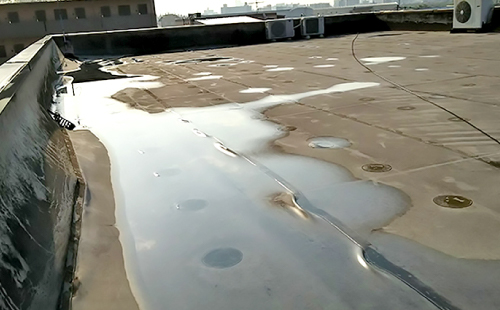 シート防水の屋上に大きな水たまりが滞留、全体的に劣化が見られます