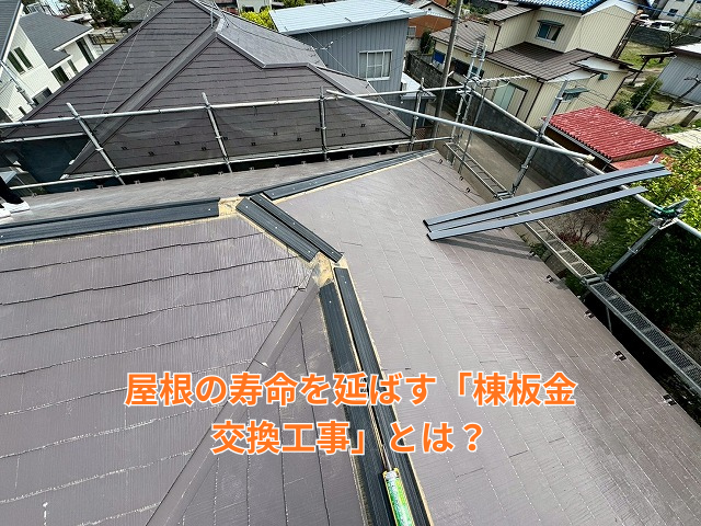 藤井