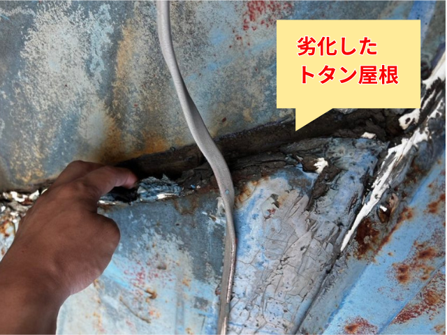 藤井