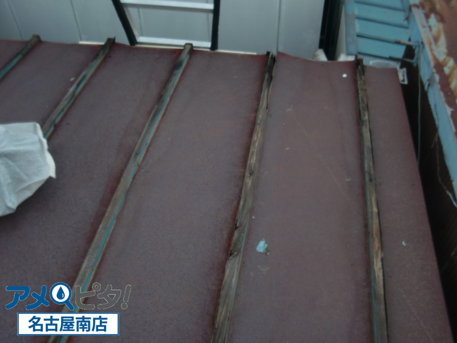 豊明市にて経年劣化したトタン屋根の葺き替え工事！ 合板補強作業の手順と注意点