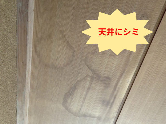 藤井