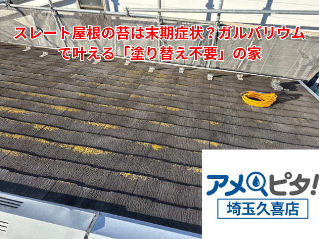 羽生市｜スレート屋根の苔は末期症状？ガルバリウムで叶える「塗り替え不要」の家