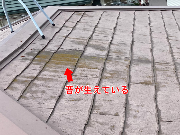 苔が生えているスレート｜通気性の悪化と水分保持