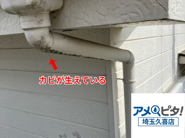 加須　雨樋交換工事