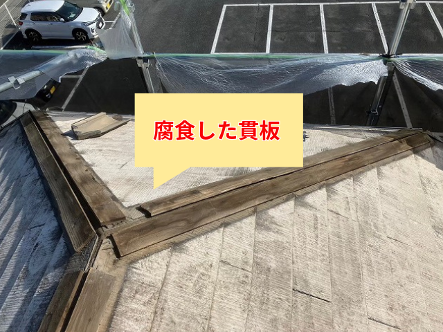 藤井