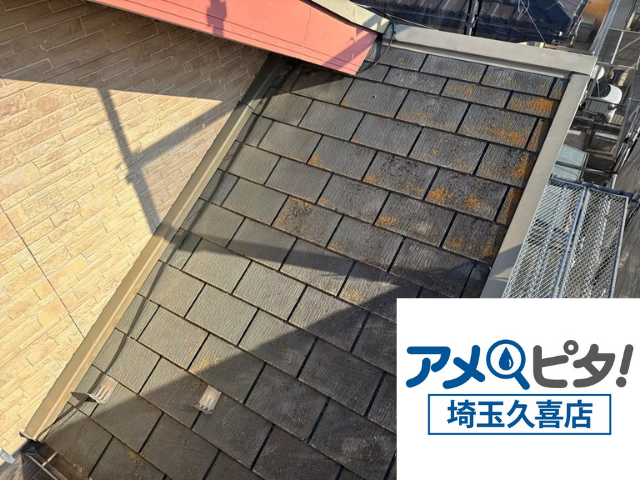 栗橋　屋根カバー　工事　ディプロ