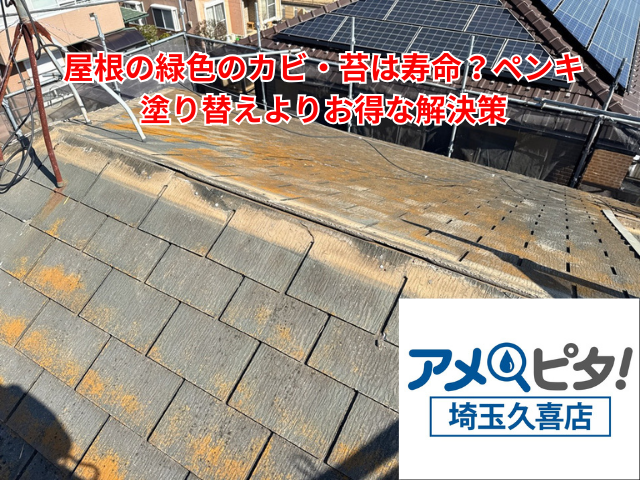 羽生市｜屋根の緑色のカビ・苔は寿命？ペンキ塗り替えよりお得な解決策