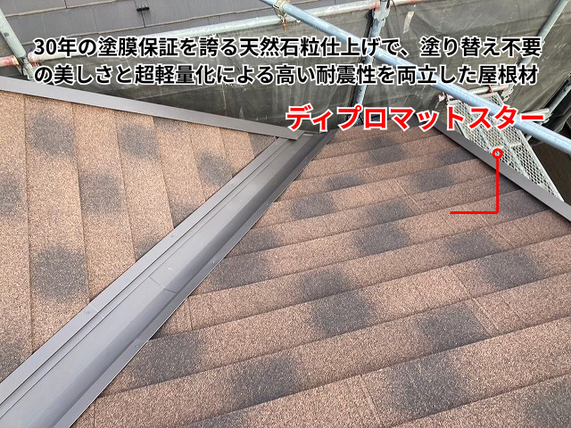 杉戸町　ディプロマット　屋根カバー