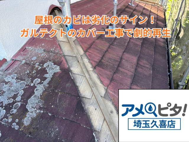 加須市｜屋根のカビは劣化のサイン！ガルテクトのカバー工事で劇的再生