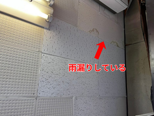 藤井