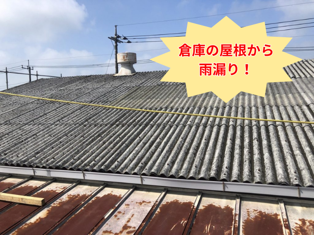 藤井
