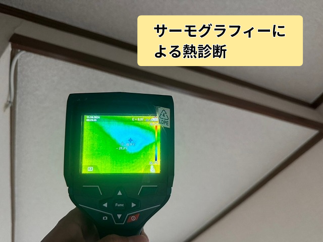 藤井