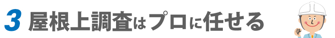3.屋根上調査はプロに任せる