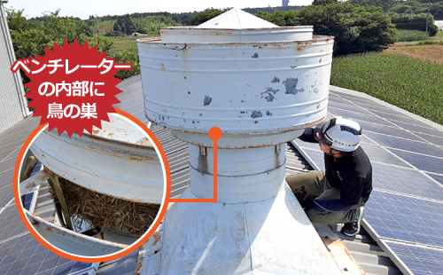 ベンチレーターの内部に鳥の巣
