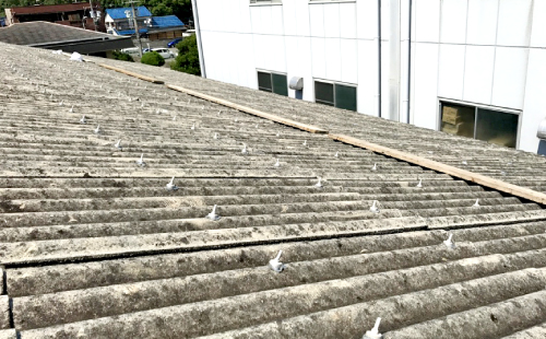 波型スレート屋根