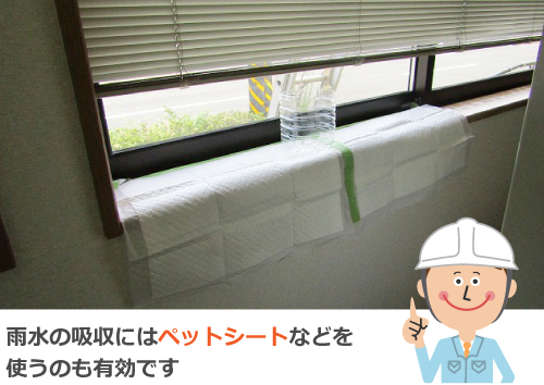 雨水を吸収するペットシート