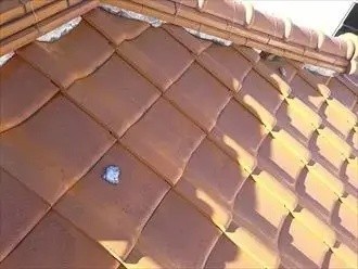 棟瓦漆喰詰め直し工事前