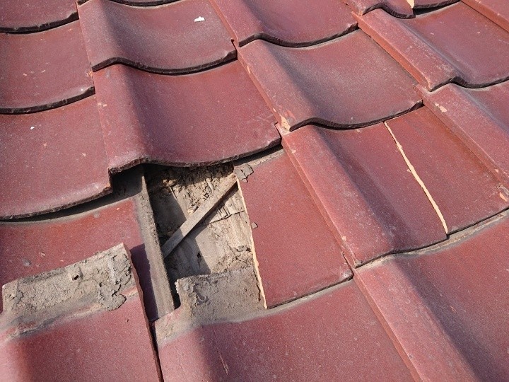 瓦に欠けが見つかった状態