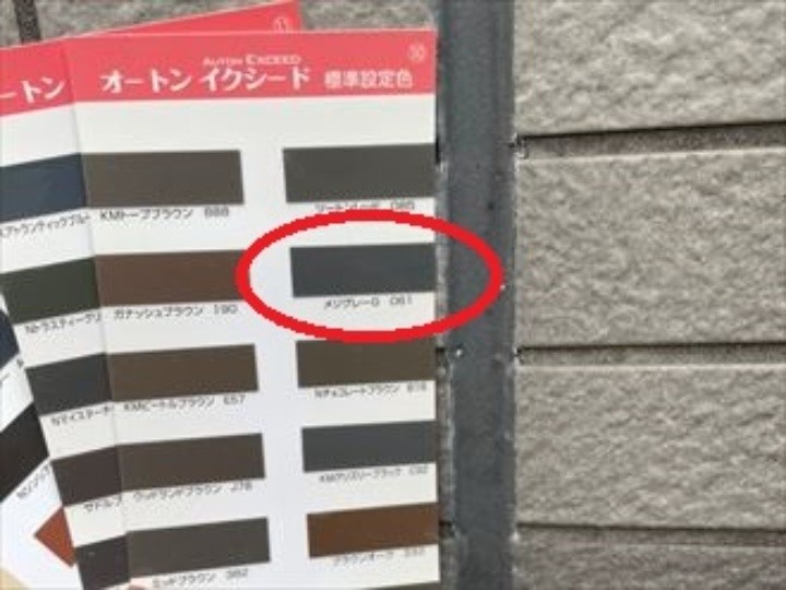 オートンイクシードの配色