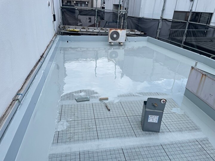 ダイフレックス社の「DSカラー・ゼロ」を使用