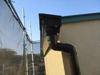 集水器と竪樋の接続部の点検作業