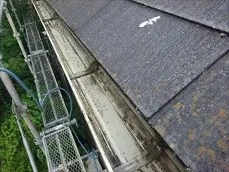 雨樋に詰まった葉の取り除き後の状態