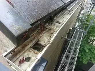 雨樋に詰まった葉の取り除き作業