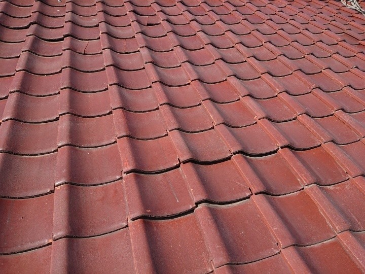 瓦の下地を点検