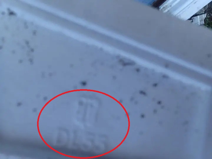 グンバイ社の「DL55」