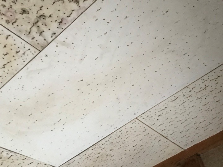 外れた天井材を修復した後の状態