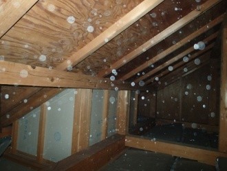 小屋裏およびロフト壁面に点検口を新設し屋根内部の状況を調査