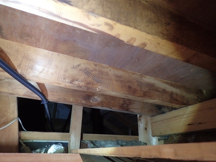 雨漏りによって生じた染み