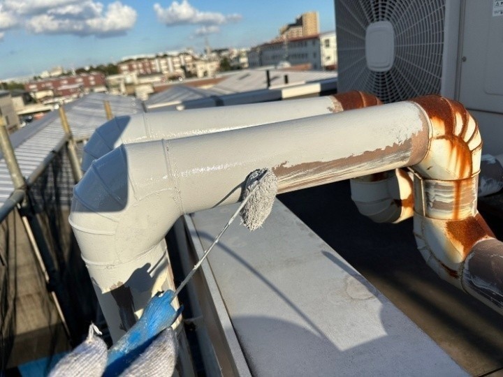 「マイルドザビガード」を塗装