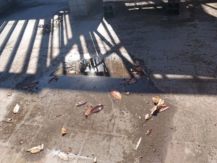 水たまりが残る屋上床