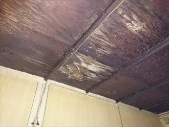 敷目天井は雨漏りの影響で劣化し表面が剥がれ落ちた状態