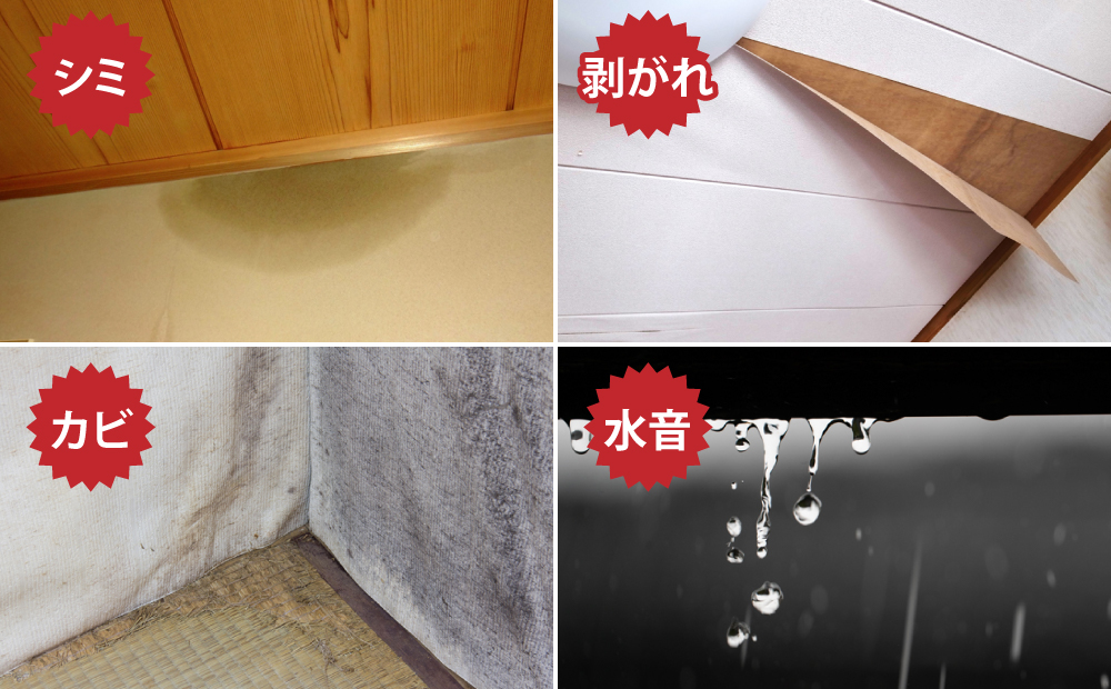 シミ、剥がれ、カビ、水音