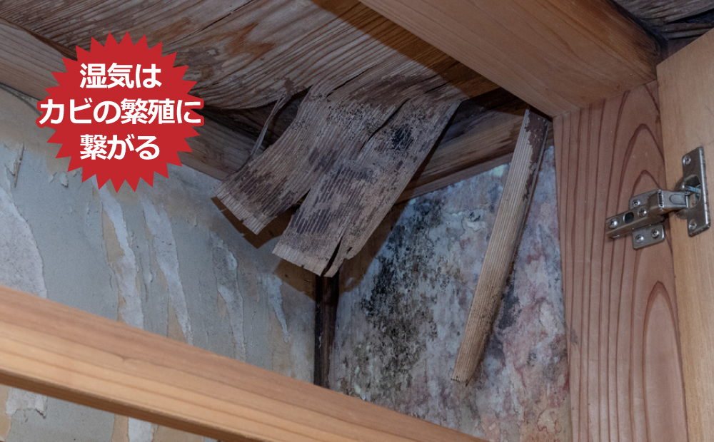 湿気はカビの繁殖に繋がる