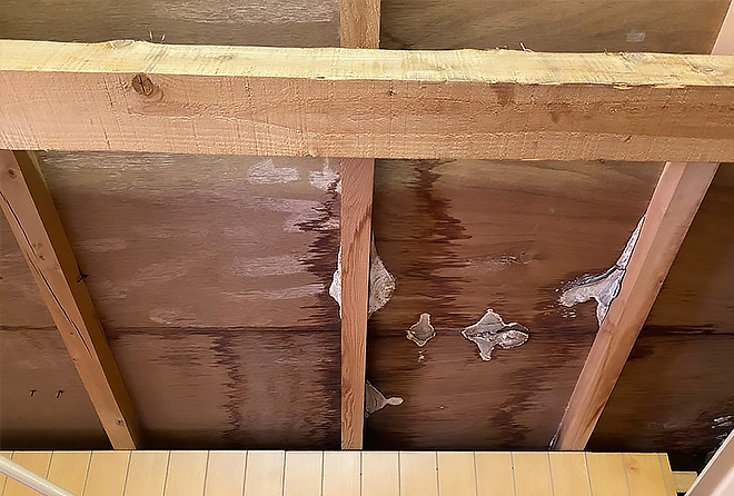 天井の木材に広がる雨染みとカビ