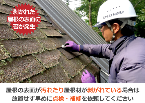 剥がれた屋根の表面に苔が発生するなど、屋根の表面が汚れたり屋根材が剥がれている場合は、放置せず早めに点検・補修を依頼してください