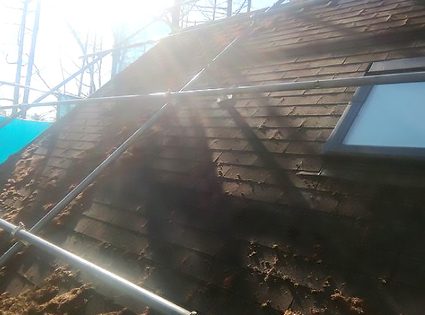 築25年を過ぎた山荘の屋根には針葉樹の葉が泥のようにこびりついています
