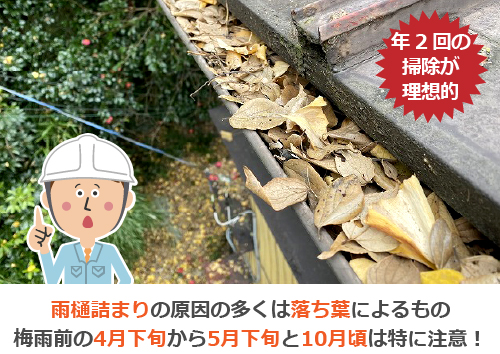 雨樋詰まりの原因の多くは落ち葉によるもの！梅雨前の4月下旬から5月下旬と10月頃は特に注意！