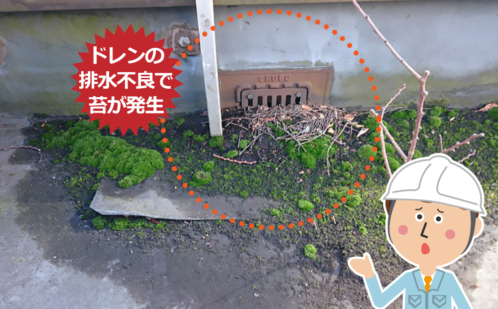 ドレンの排水不良で苔が発生