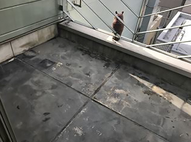 施工前の鉄骨ビルの劣化した床