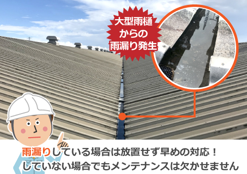 雨漏りしている場合は放置せず早めの対応！していない場合でもメンテナンスは欠かせません